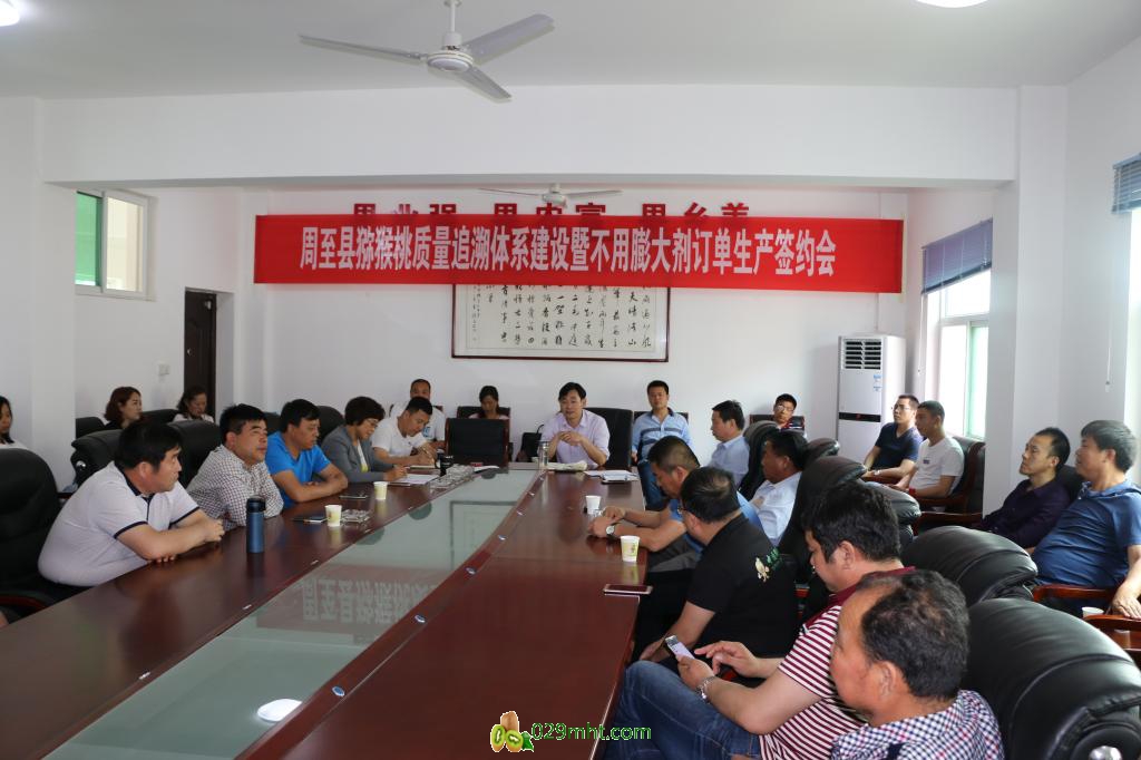 PG国际官方网站图片