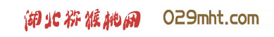 PG国际官方网站图片