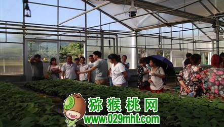 PG国际官方网站图片