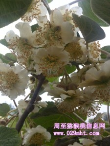 PG国际官方网站图片