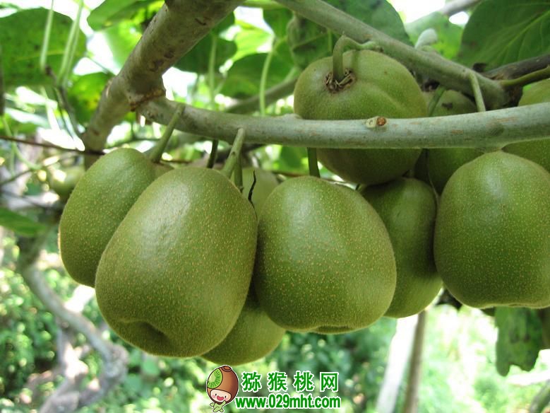PG国际官方网站图片