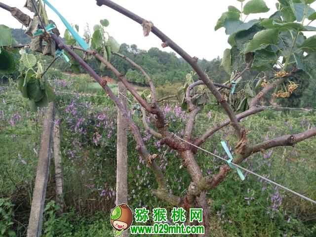 PG国际官方网站图片