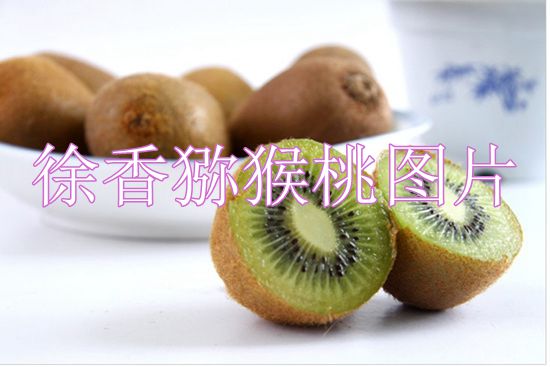 PG国际 5f932