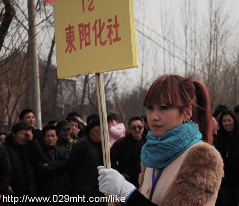 53402970gd70fd941199f&690.jpg image