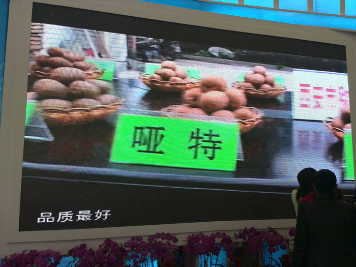 PG国际官方网站图片