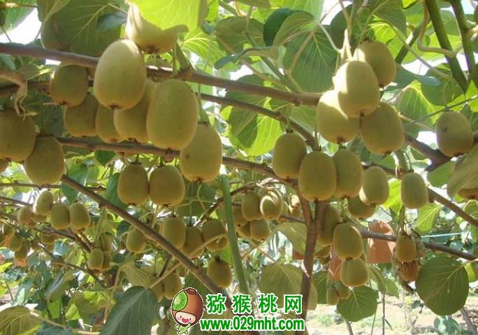 PG国际官方网站图片