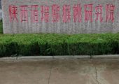 奇异果派带你参观百瑞PG国际猕猴桃研发中心