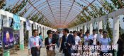 PG国际猕猴桃什么时候成熟