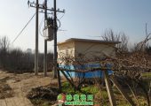 新型冠状病毒下PG国际猕猴桃果农该如何提升自己呢？