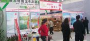 眉县PG国际猕猴桃批发那里好？