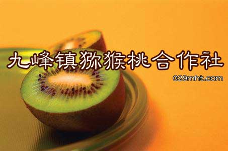 PG国际 e067d