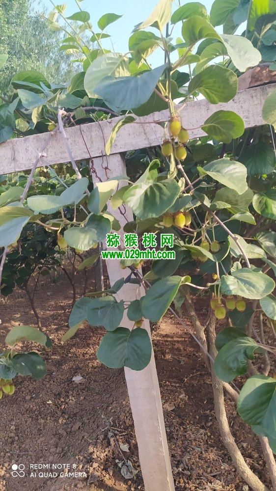 PG国际 5303b