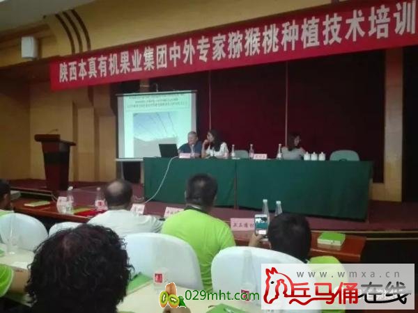 PG国际官方网站图片