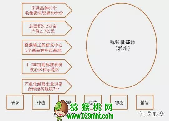 PG国际 7933f