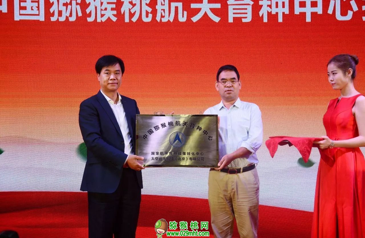 PG国际官方网站图片