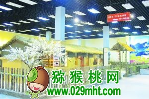 PG国际官方网站图片