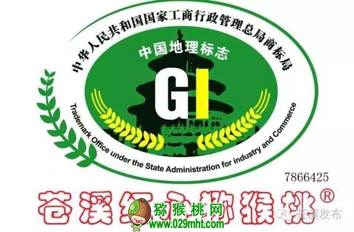 PG国际官方网站图片