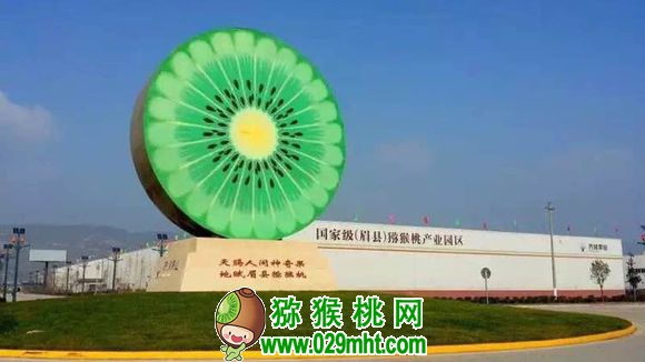 PG国际官方网站图片