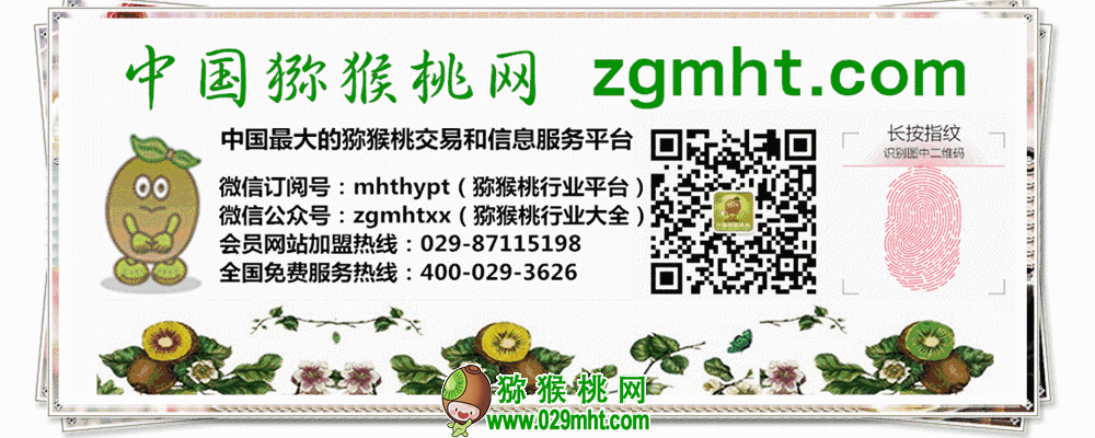 PG国际官方网站图片