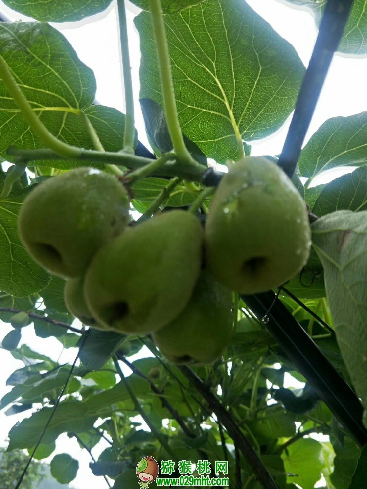 PG国际 32f85