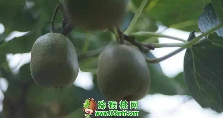 PG国际官方网站图片