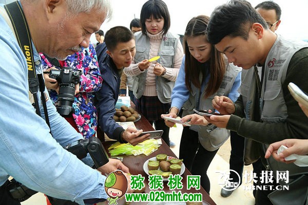 PG国际官方网站图片