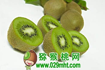 PG国际官方网站图片