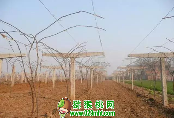 PG国际官方网站图片