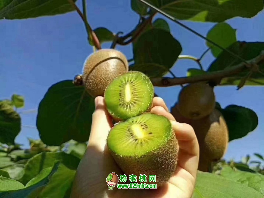 PG国际 fa2ac