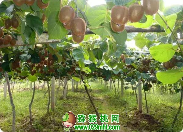 PG国际官方网站图片