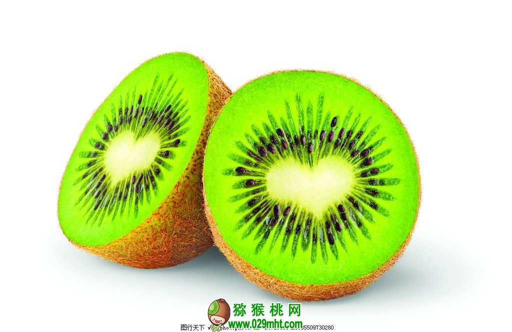 PG国际官方网站图片
