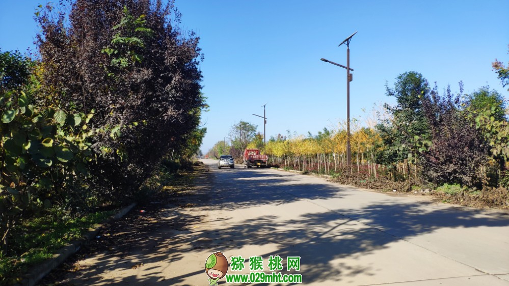 PG国际 641ca
