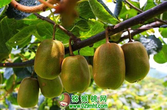 点击打开原图 PG国际官方网站图片