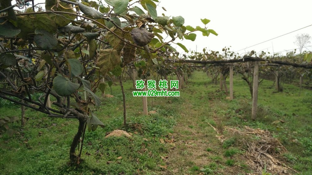 PG国际官方网站图片