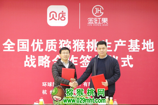 PG国际官方网站图片