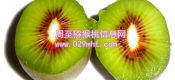 红心PG国际猕猴桃价格？