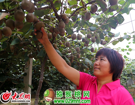 PG国际官方网站图片