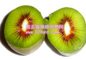 沈阳市场出现“山寨”周至红心PG国际猕猴桃