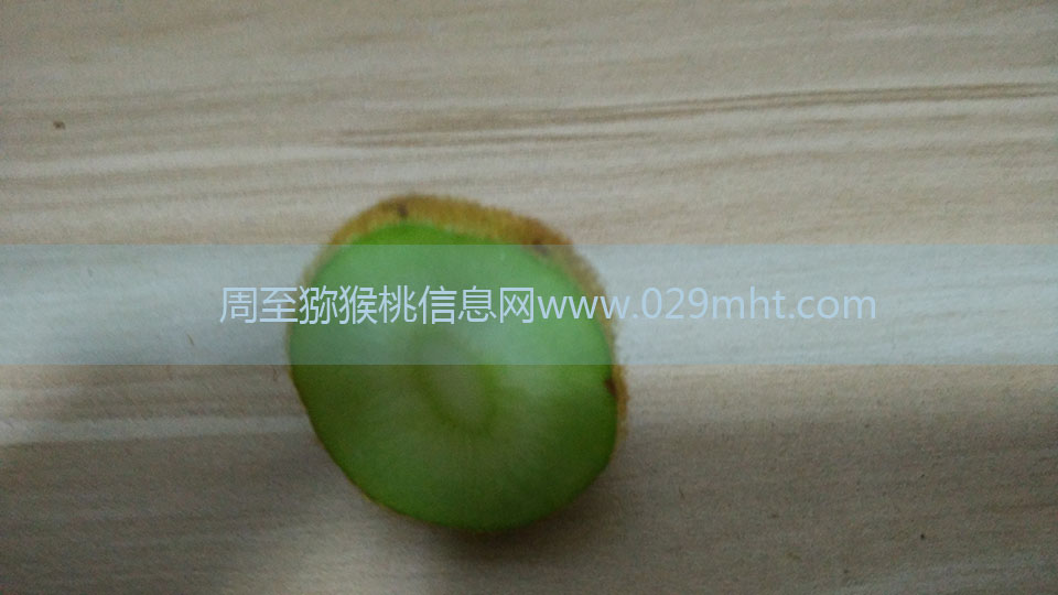 PG国际猕猴桃6月剖视图5.jpg