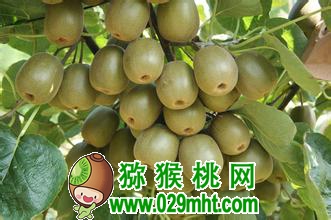 PG国际官方网站图片