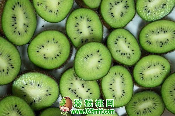 <a href=http://www.summer2018.cn/guizhoumihoutao/ target=_blank class=infotextkey />贵州PG国际猕猴桃</a>种植技术专家唐冬梅介绍