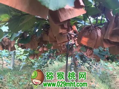 PG国际官方网站图片