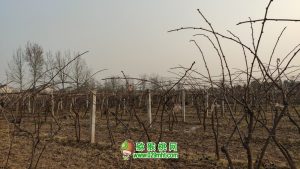 PG国际官方网站图片