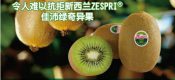 周至PG国际猕猴桃家庭农场