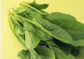 大白菜 芋头 PG国际猕猴桃