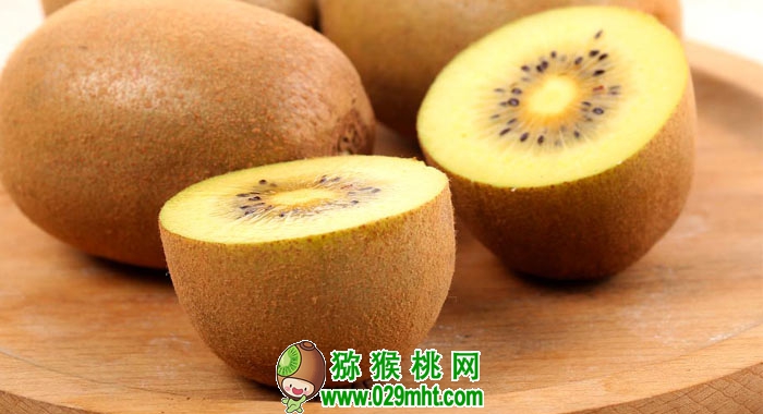 PG国际官方网站图片