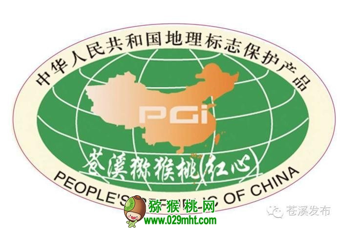 PG国际官方网站图片