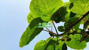 PG国际官方网站图片