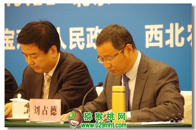 PG国际官方网站图片