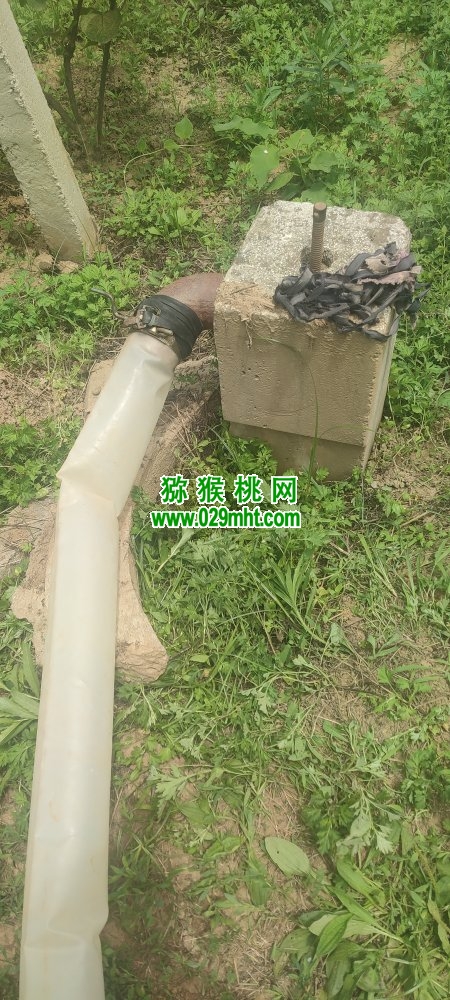 PG国际 af12d